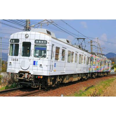 高松琴平電気鉄道1200形(ことでん×ヘラルボニーラッピング電車)2両編成セット(動力付き)