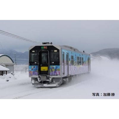 電車（特急・急行） 鉄道模型 通販・Nゲージ ミッドナイン