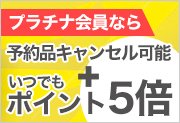 石 トンネル ポータル